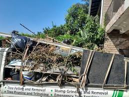 Best Furniture Removal  in Dexter, GA